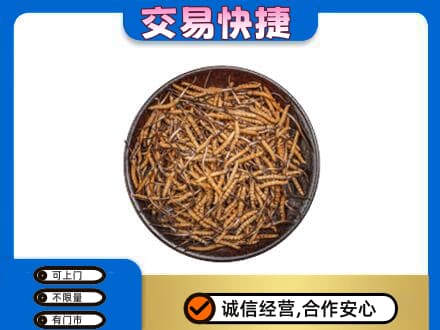 南平松溪县高价回收散虫草